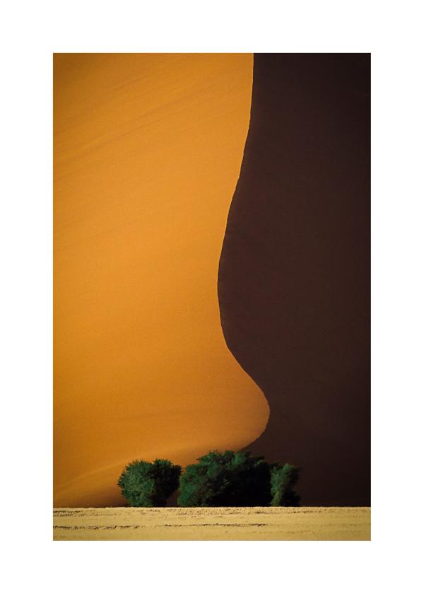 Dune 1 - John Rickwood