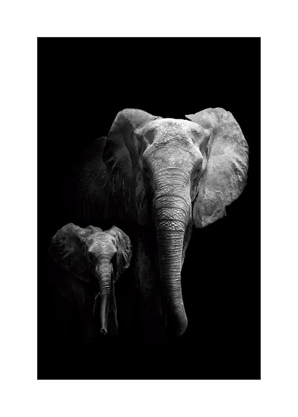Mother and Child - WildPhotoArt
