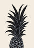 Black Pineapple - 1x Studio