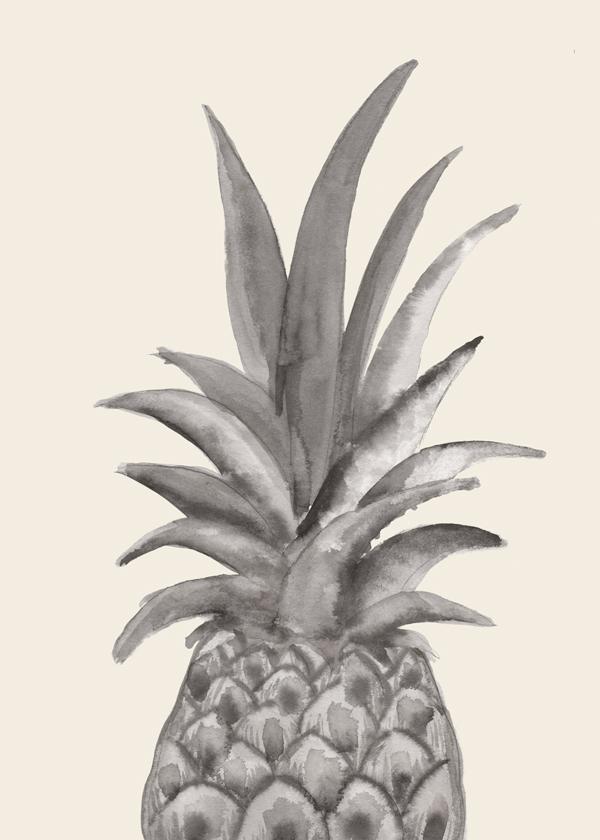 Ink Pineapple - 1x Studio