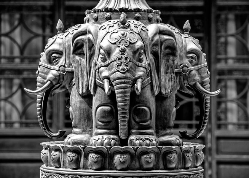 Black China - Jade Elephants