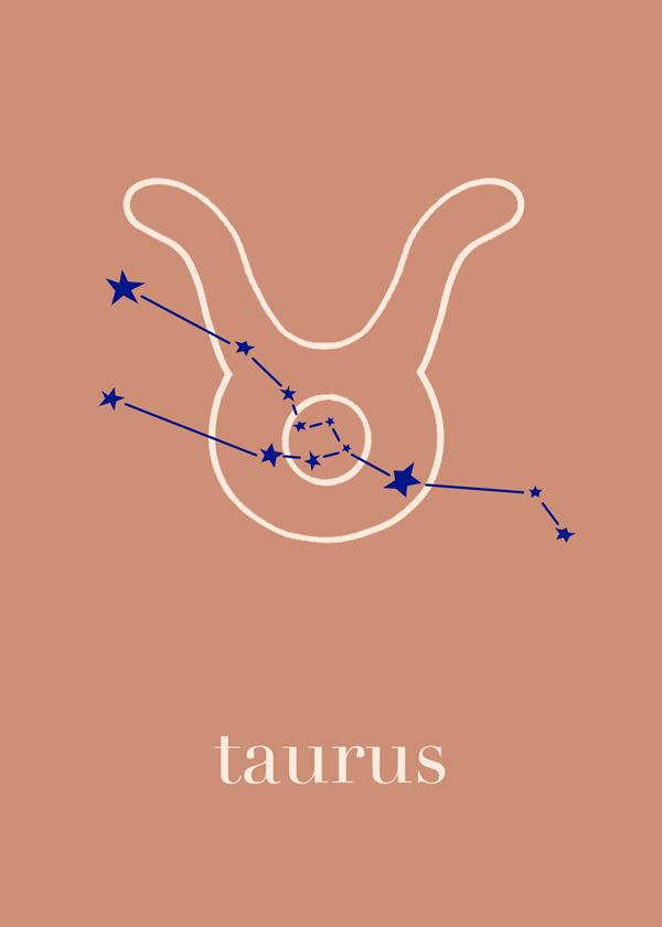 Taurus Constellation Terracotta