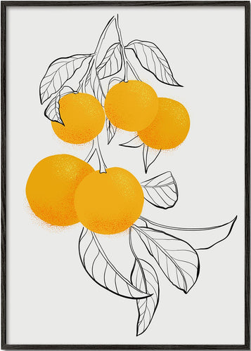 Mabel oranges
